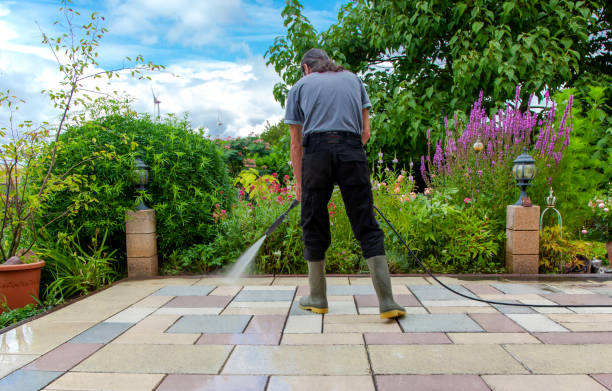 Best Driveway Pressure Washing  in Old Miakka, FL